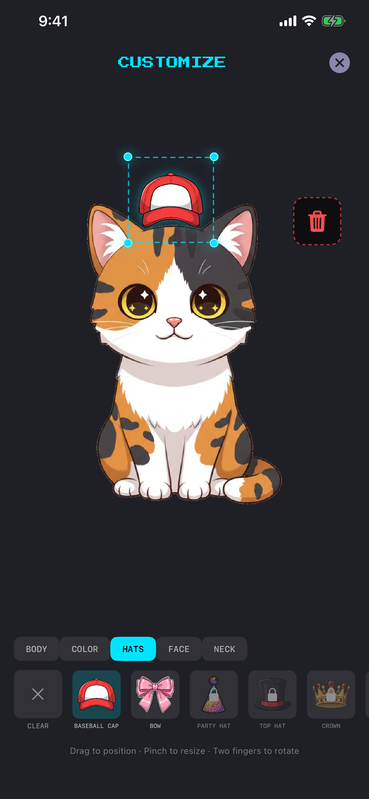 Customize your cat — hats, accessories, and more